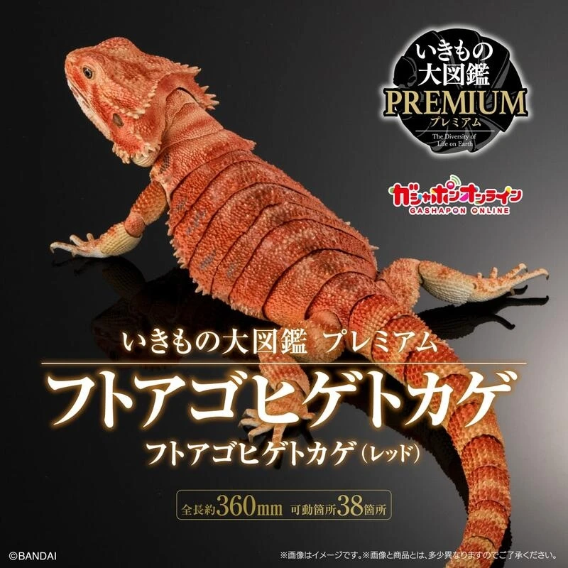 萬代 盒玩 生物大圖鑑 鬃獅蜥 紅