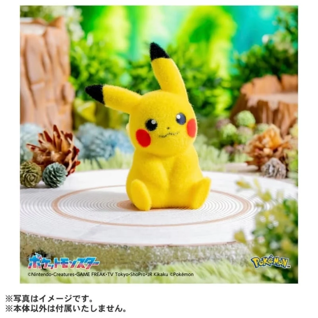 TAKARATOMY 精靈寶可夢 30週年 毛絨絨掌上 皮卡丘