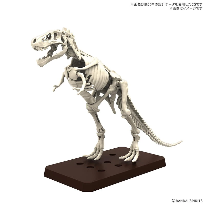 BANDAI 萬代 恐龍組裝模型 暴龍 1915
