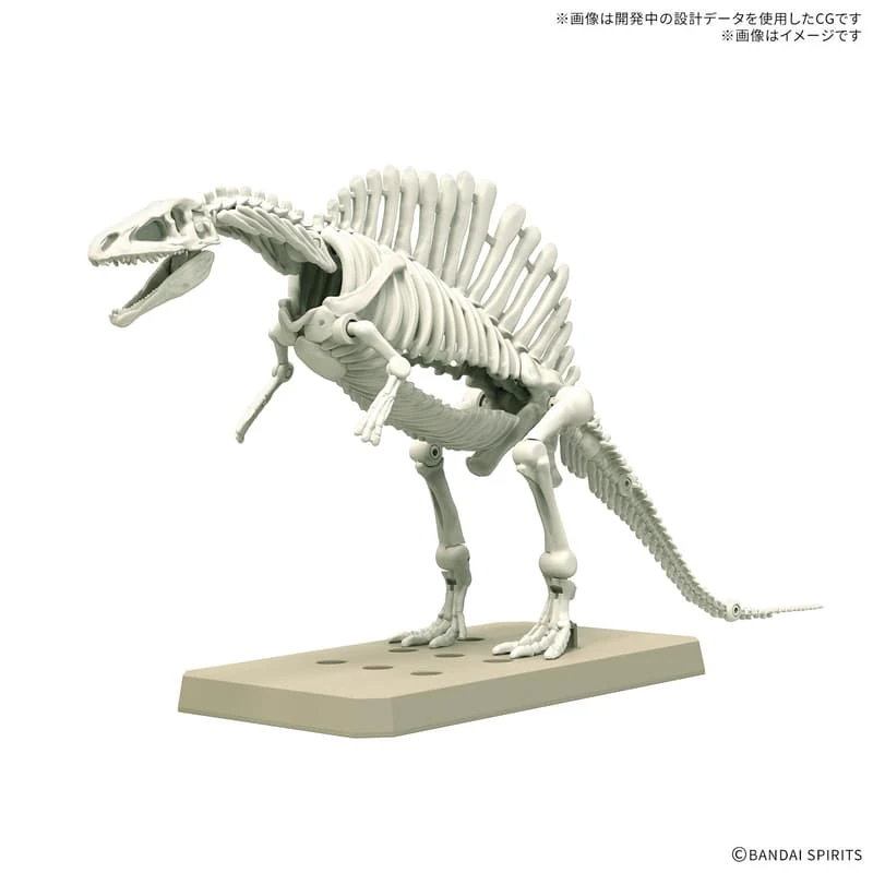 BANDAI 萬代 恐龍組裝模型 棘龍 1915