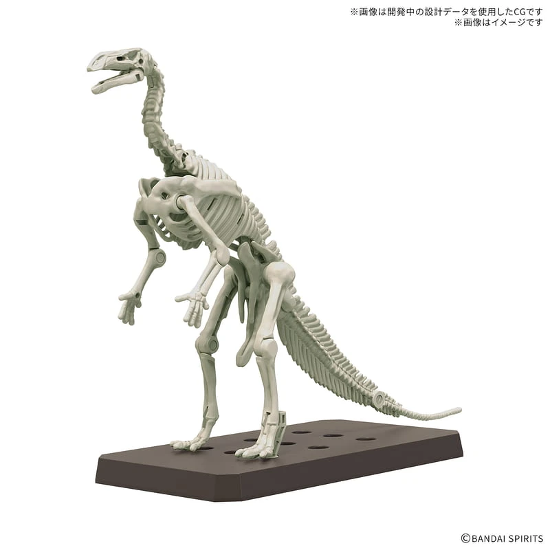 BANDAI 萬代 恐龍組裝模型 禽龍