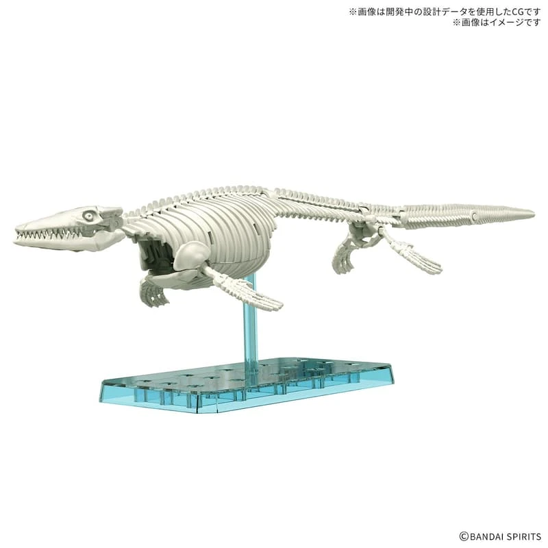 BANDAI 萬代 恐龍組裝模型 滄龍1899