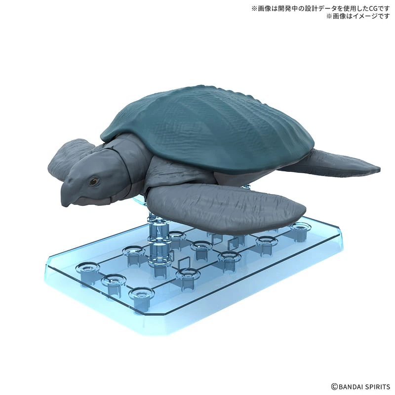 BANDAI 萬代 恐龍組裝模型 古巨龜