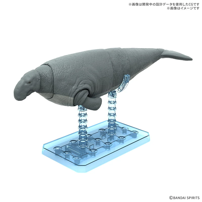 BANDAI 萬代 恐龍組裝模型 巨儒艮