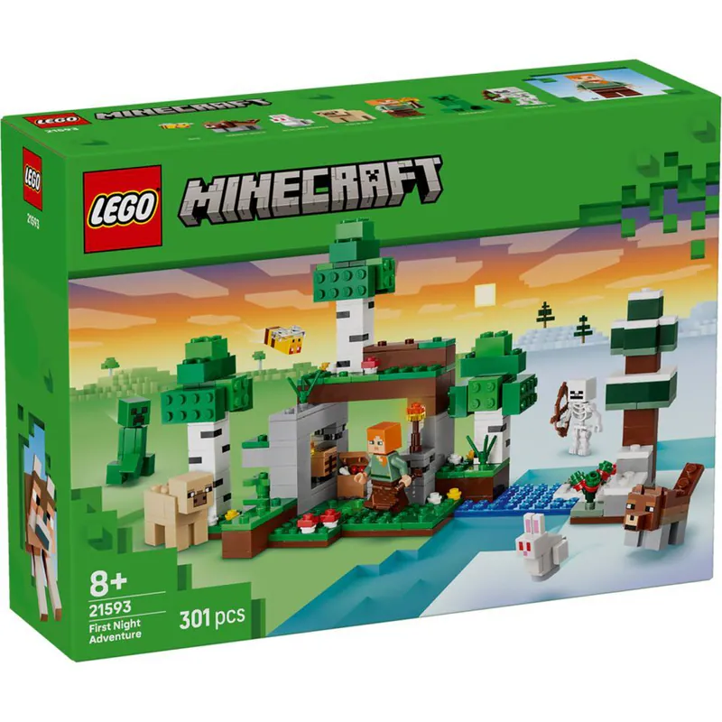 Lego 樂高  Minecraft 創世神系列 21593 第一夜冒險