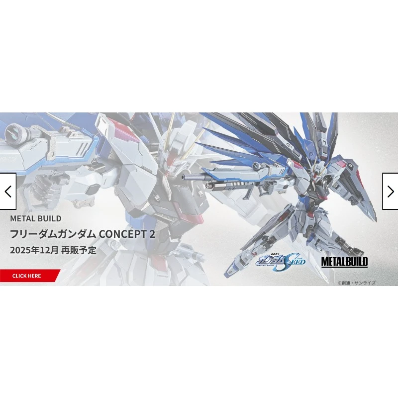 代理版 METAL BUILD 鋼彈SEED 自由鋼彈 CONCEPT 2