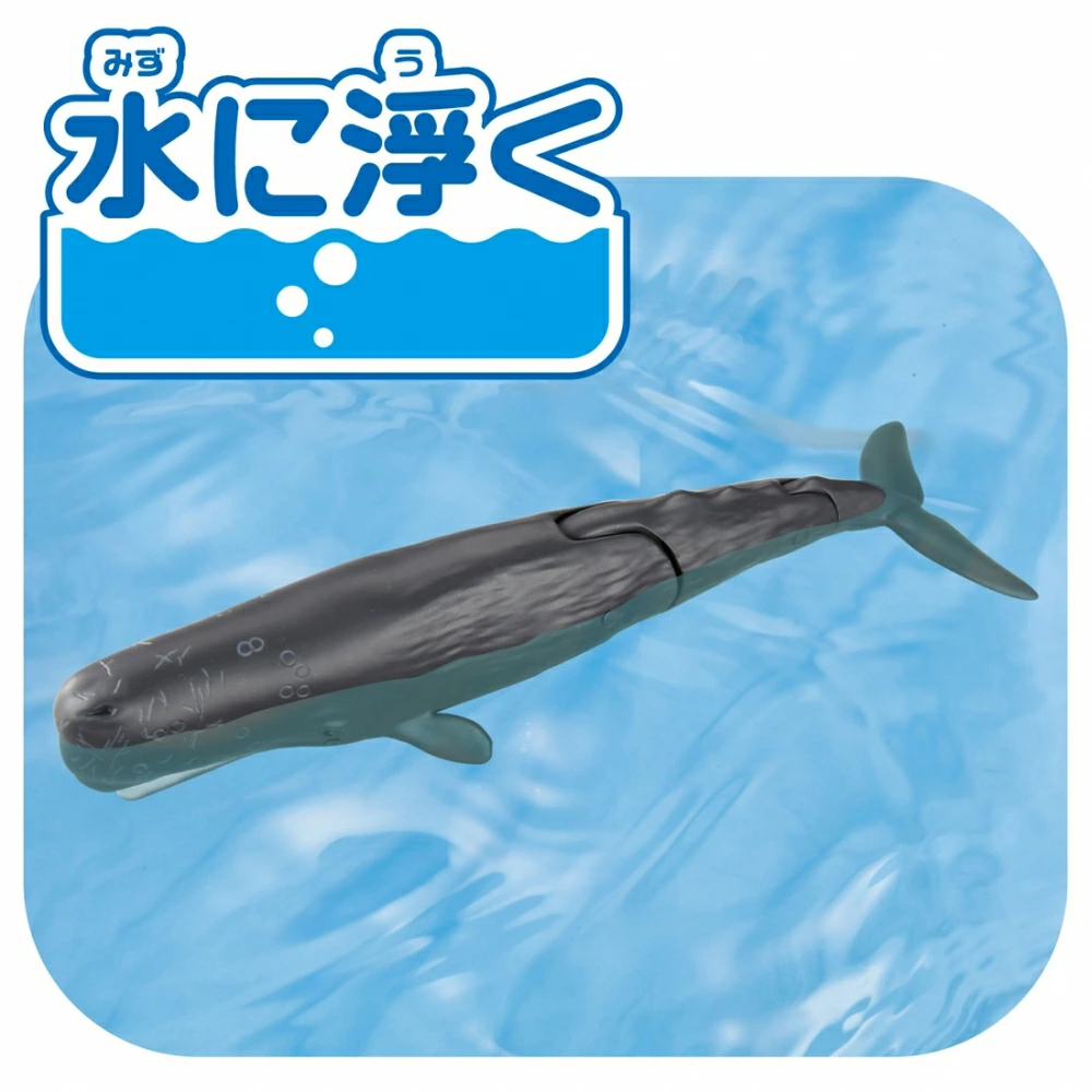 TakaraTomy ANIA AL-34 抹香鯨
