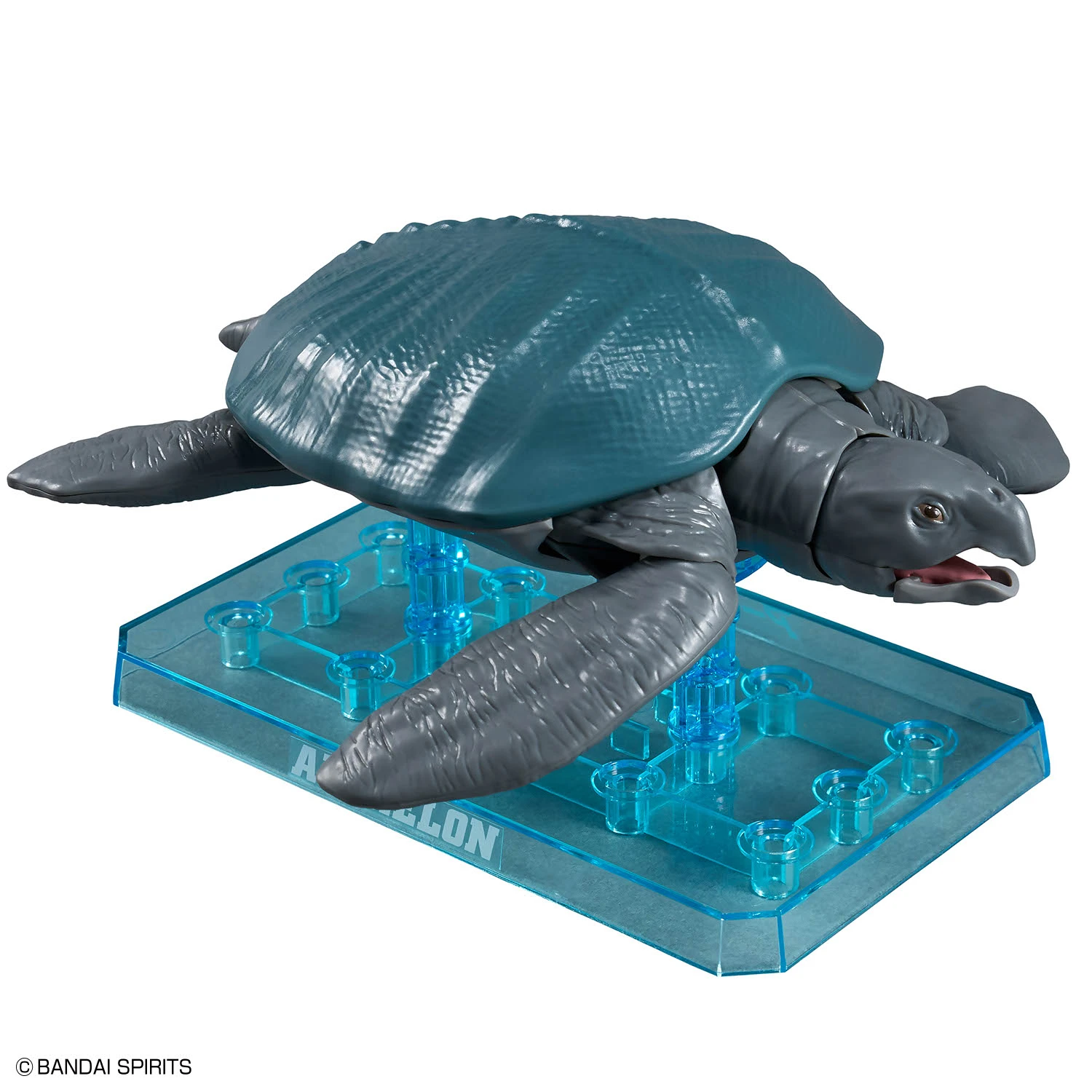 BANDAI 萬代 恐龍組裝模型 古巨龜
