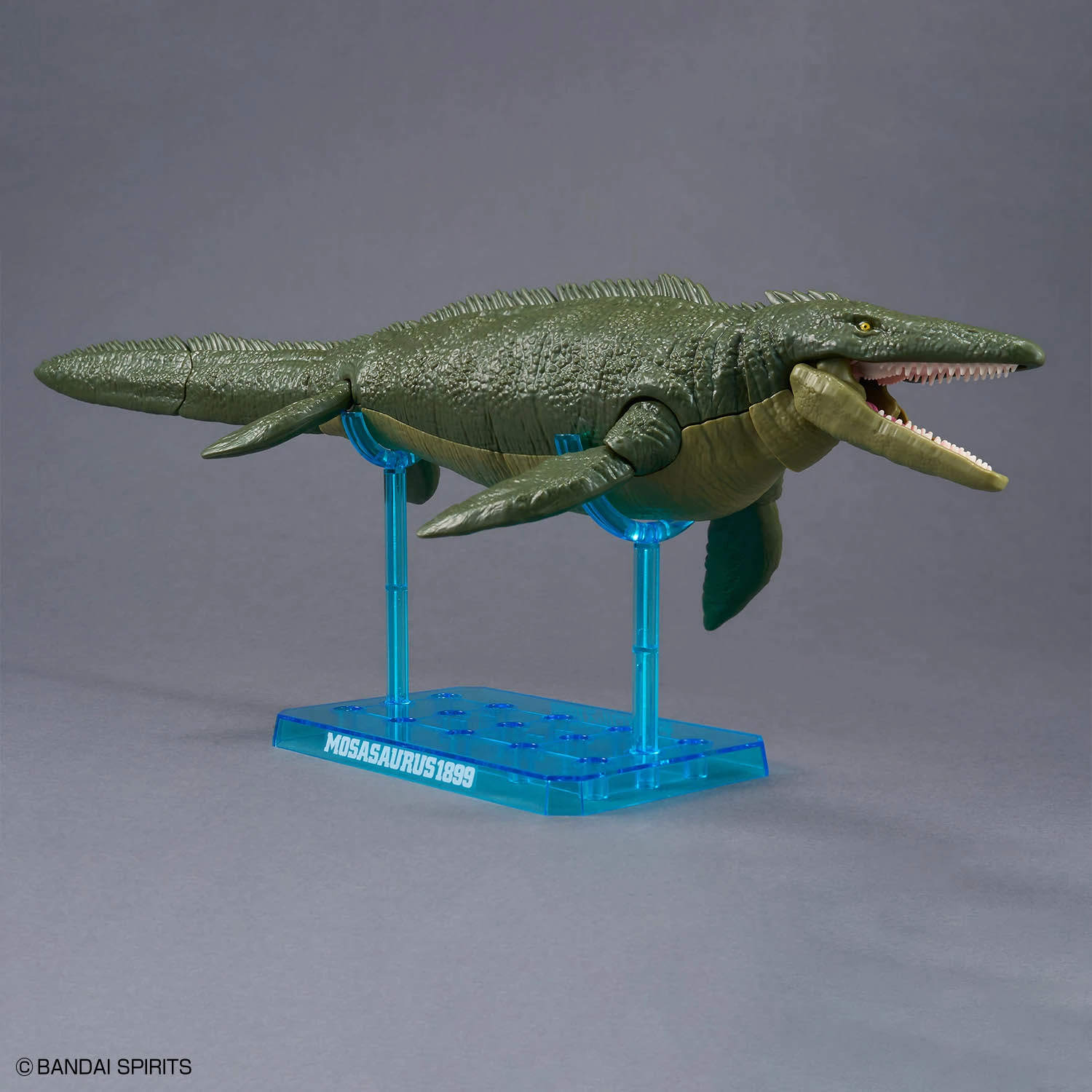 BANDAI 萬代 恐龍組裝模型 滄龍1899