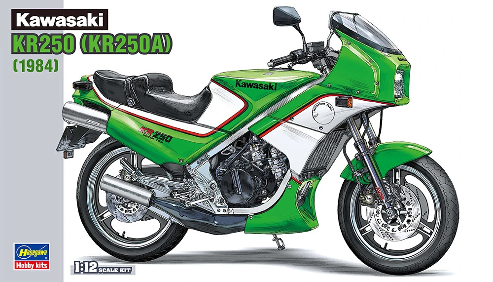 HASEGAWA 長谷川 BK12 1/12 川崎 KR250