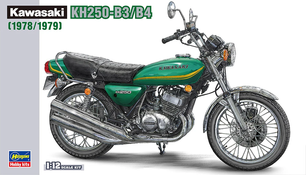 HASEGAWA 長谷川 BK08 1/12 川崎 KH250-B3/B4