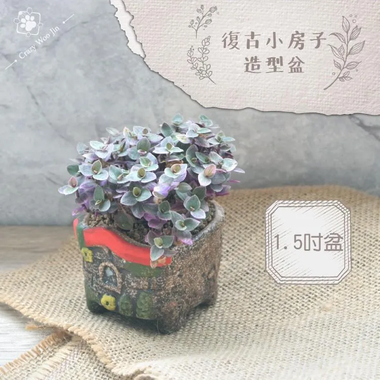 【手工限量】復古彩繪小屋盆栽 1.5吋盆 多肉盆栽 家用植物盆 有底孔 小盆栽 小陶盆【瘋伍金】