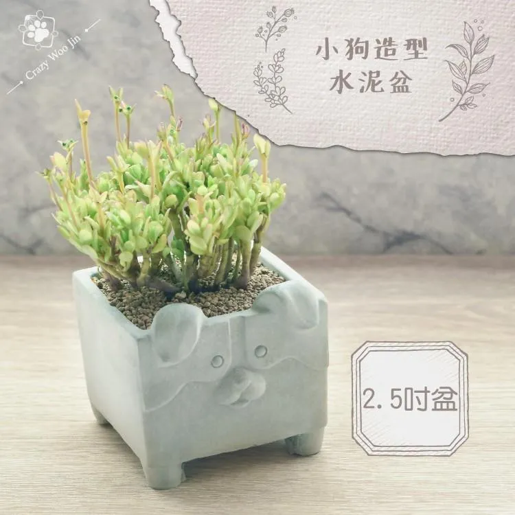 【限量特惠】小狗造型水泥盆栽 2.5吋盆 多肉盆栽 家用植物盆 有底孔 小盆栽 小陶盆【瘋伍金】