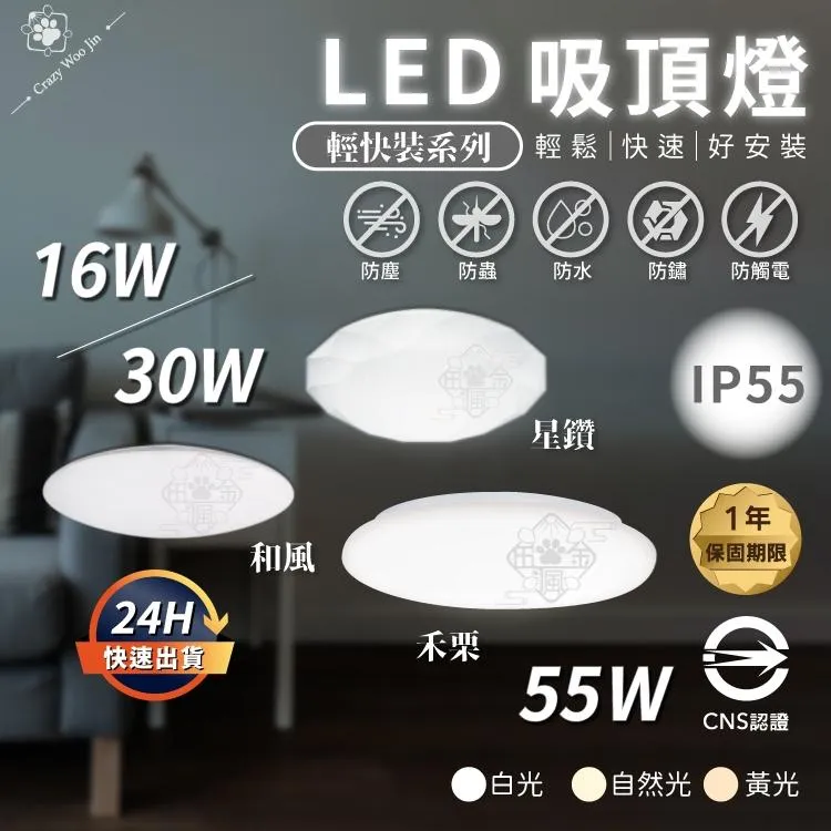 台灣品牌-樂亮 防水認證IP55吸頂燈 國家認證 16W 30W 55W 蛋糕型 吸頂燈 走道燈