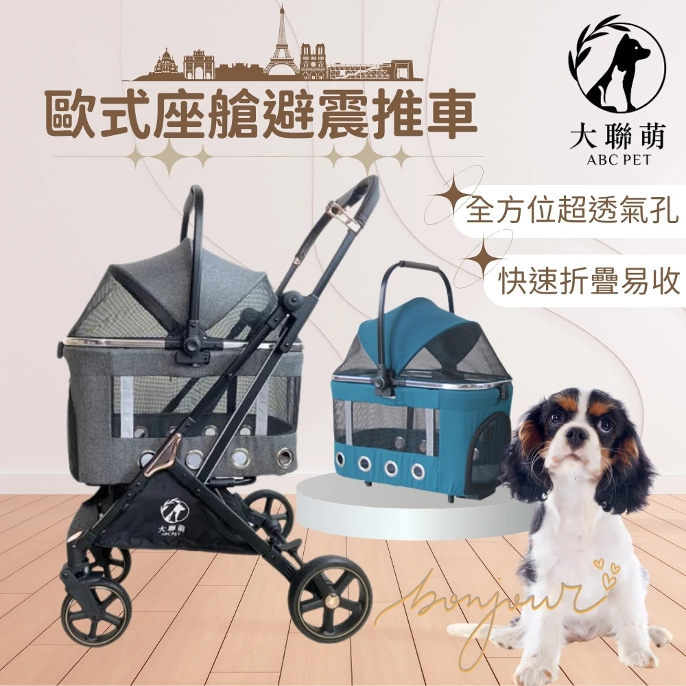 【大聯萌】歐式座艙可拆卸寵物推車 (深灰色/湖水藍)