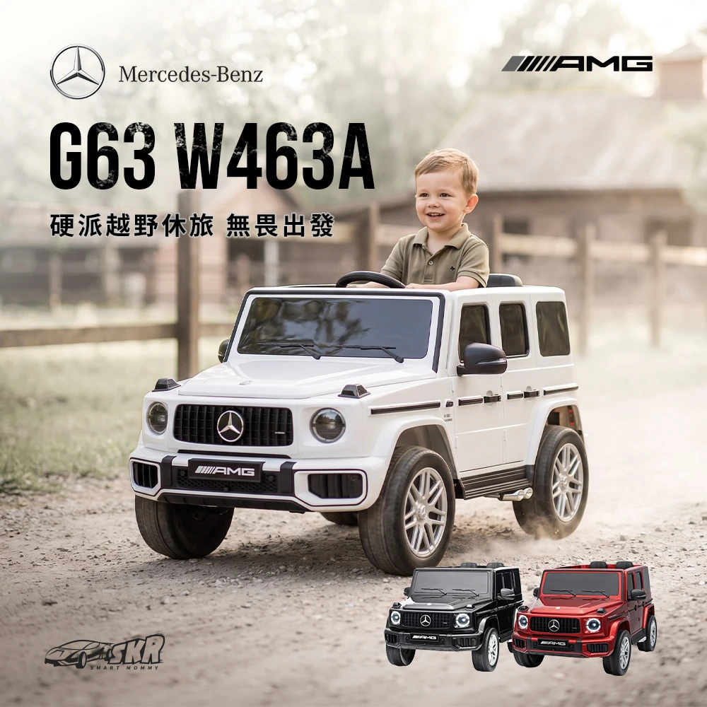 賓士 Mercedes-AMG G63 (DK-G63S)