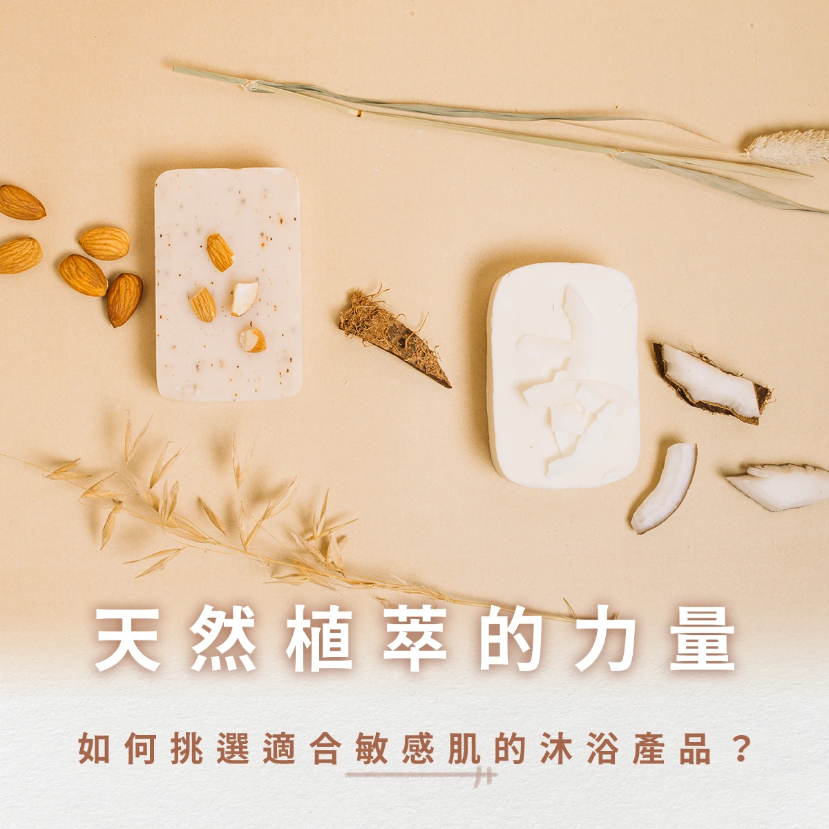 天然植萃的力量：如何挑選適合敏感肌的沐浴產品？