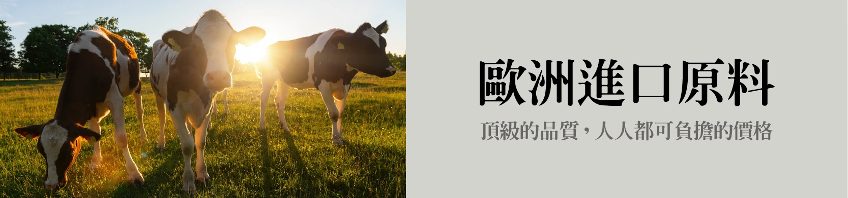 歐洲進口乳清原料