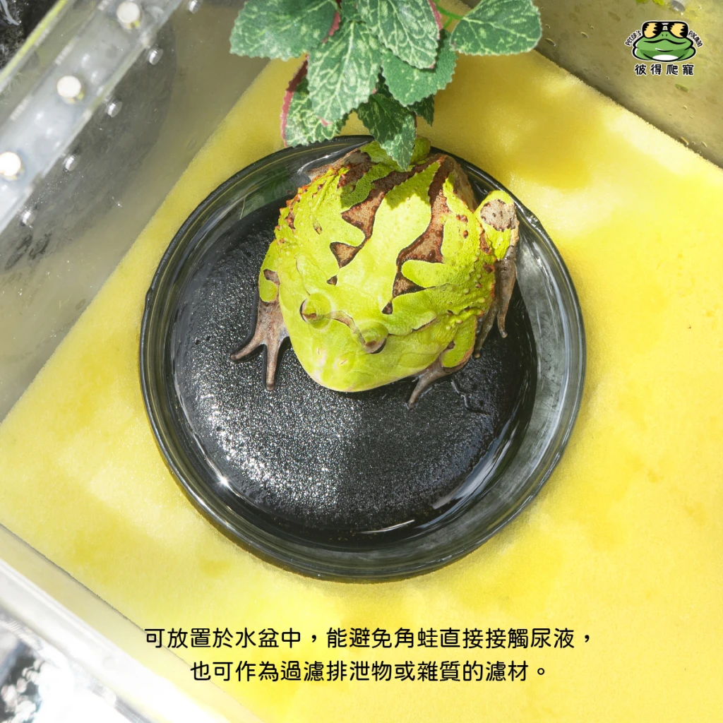 生化棉 圓形 (角蛙乾濕分離專用棉)