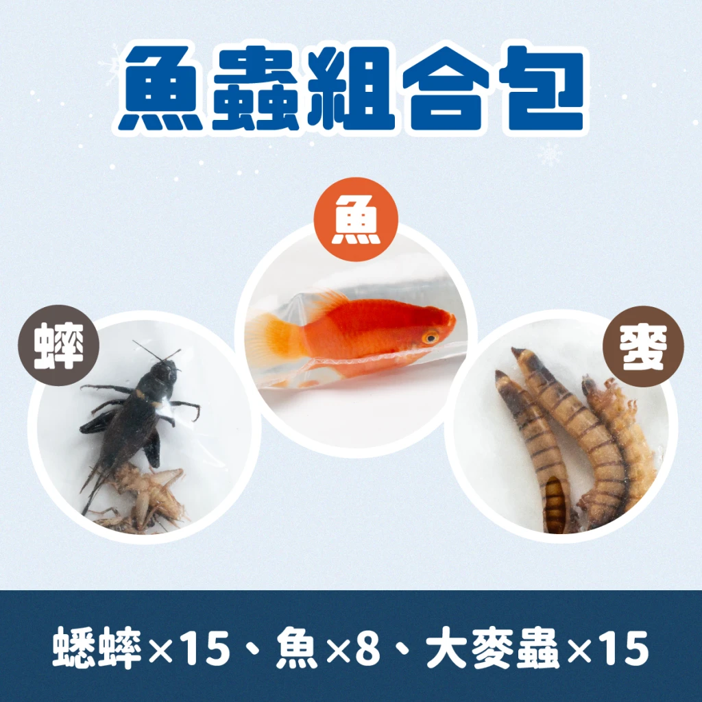 【冷凍｜魚×蟲】冷凍餌料組合包 🐟 魚+大麥蟲+白蟋蟀 🐟