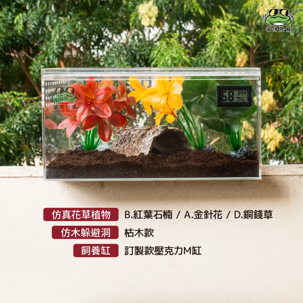 仿真花草植物 (共五款)