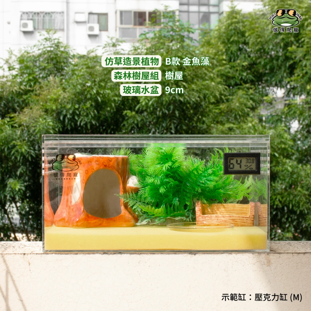 仿真綠葉植物 (共二款)