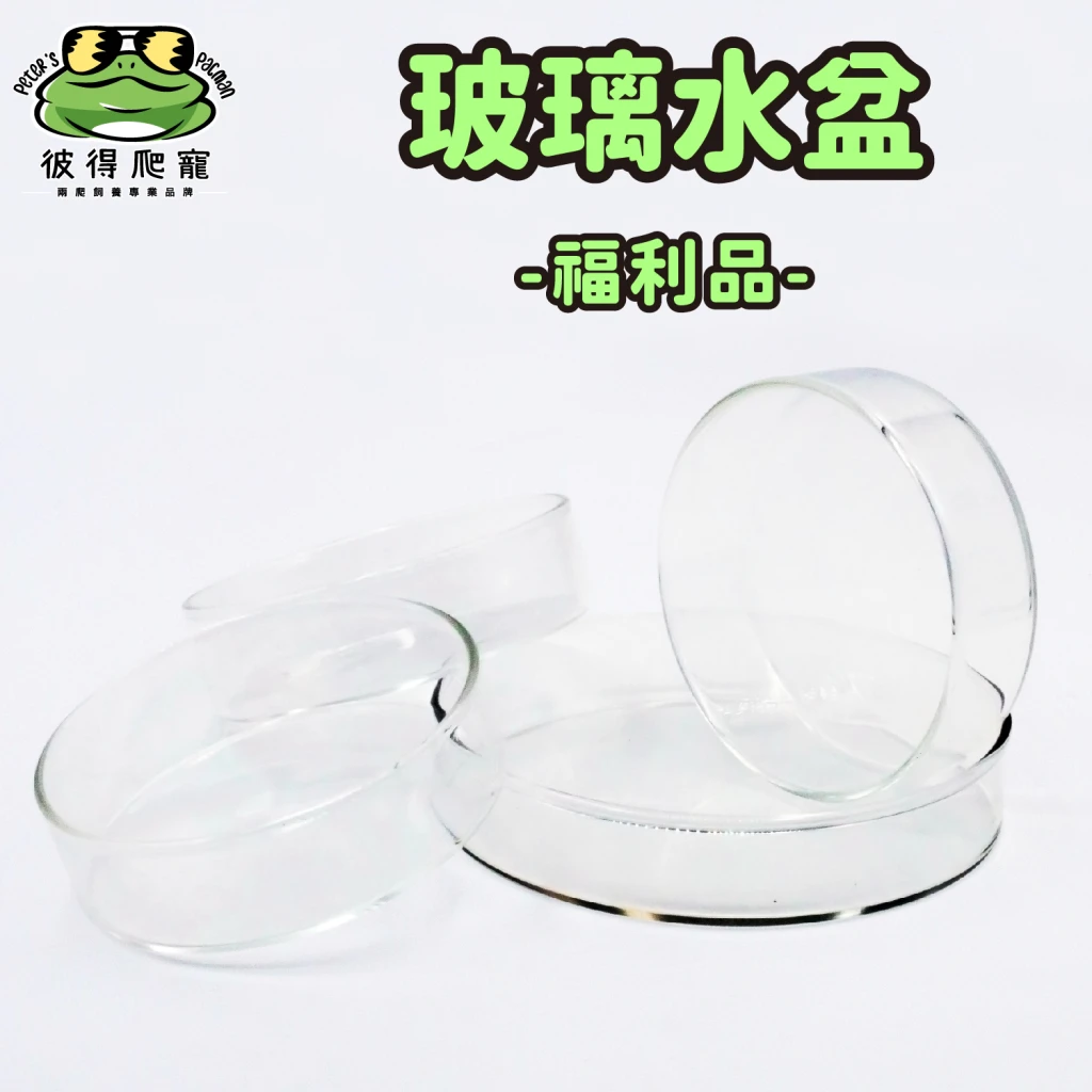 【福利品】玻璃水盆 / 高清玻璃杯