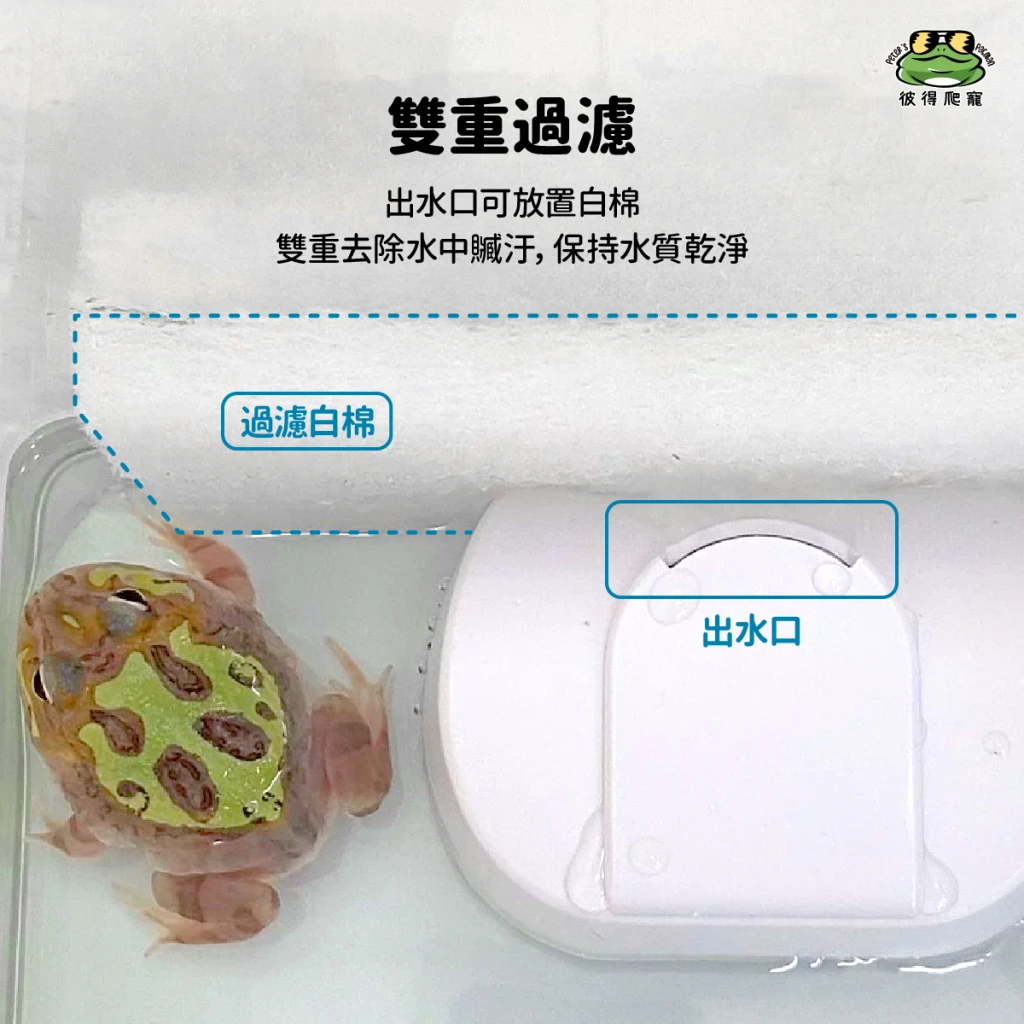 低水位濾水過濾器 (角蛙水養專用)