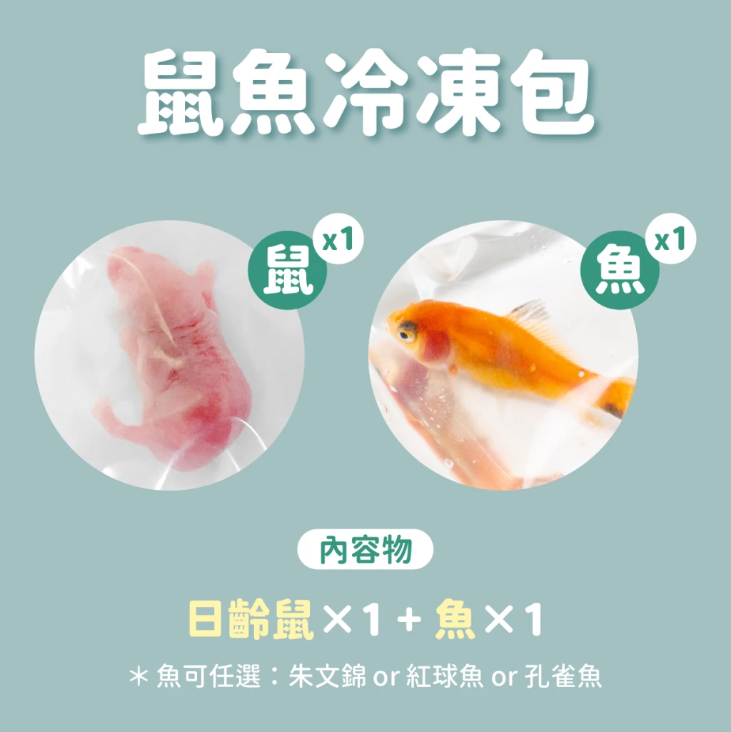 【冷凍｜鼠×魚】冷凍餌料組合包 🐁日齡鼠+魚🐁 (最低量需購買五組)