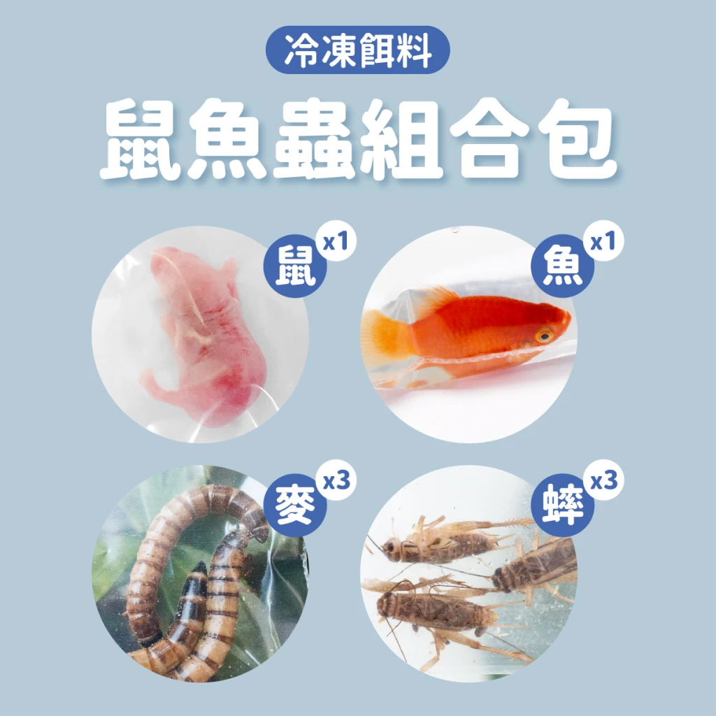 【冷凍｜鼠×魚×蟲】冷凍餌料組合包 ⭐日齡鼠+魚+大麥蟲+白蟋蟀⭐ (最低量需購買五組)