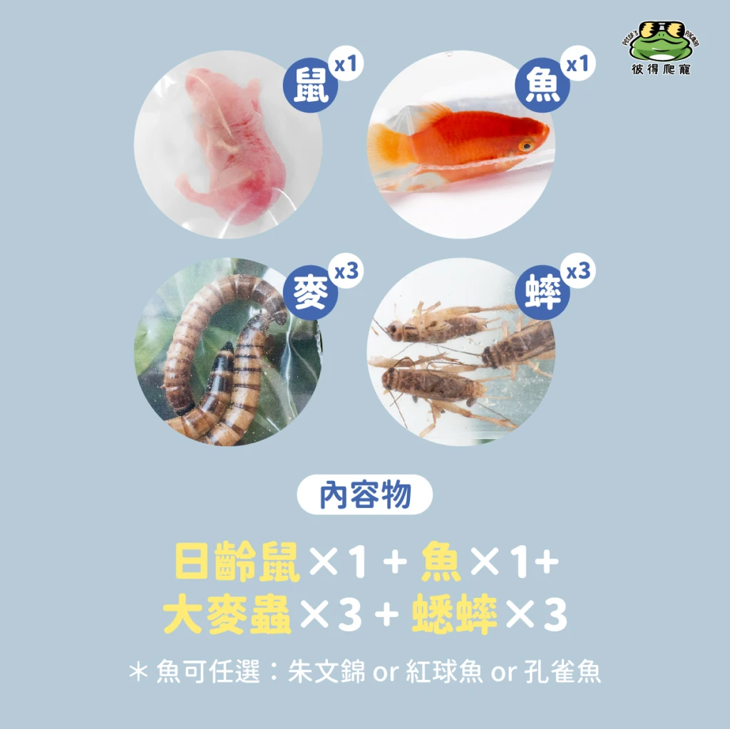 【冷凍｜鼠×魚×蟲】冷凍餌料組合包 ⭐日齡鼠+魚+大麥蟲+白蟋蟀⭐ (最低量需購買五組)