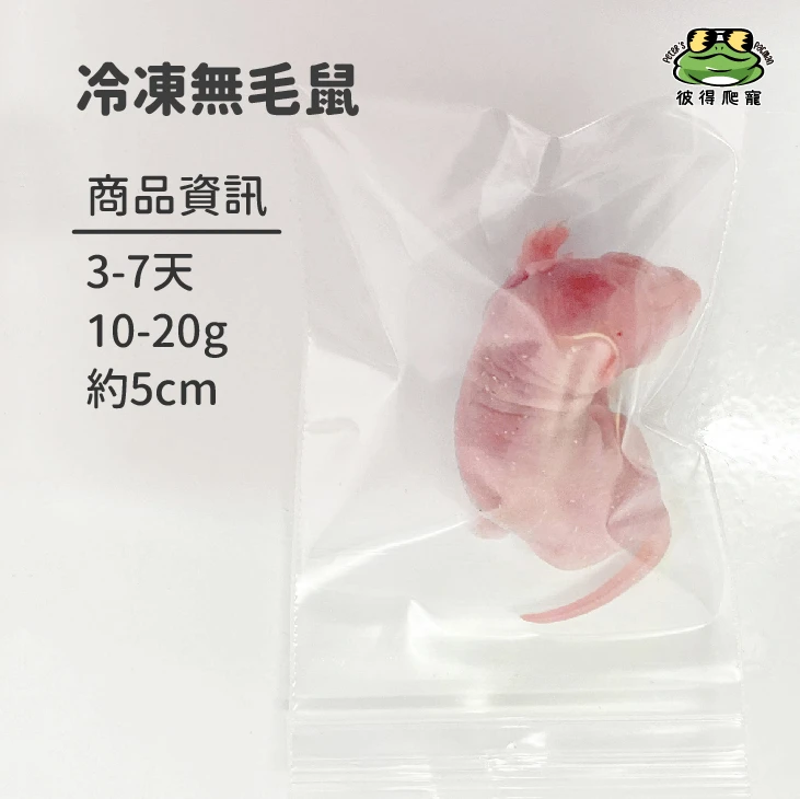 【冷凍】日齡鼠 / 無毛鼠
