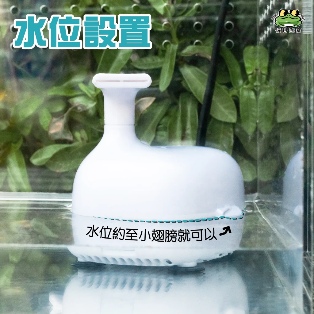 SOBO低水位濾水過濾器 (水養專用)