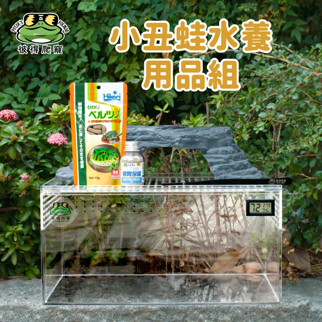 小丑蛙水養用品組