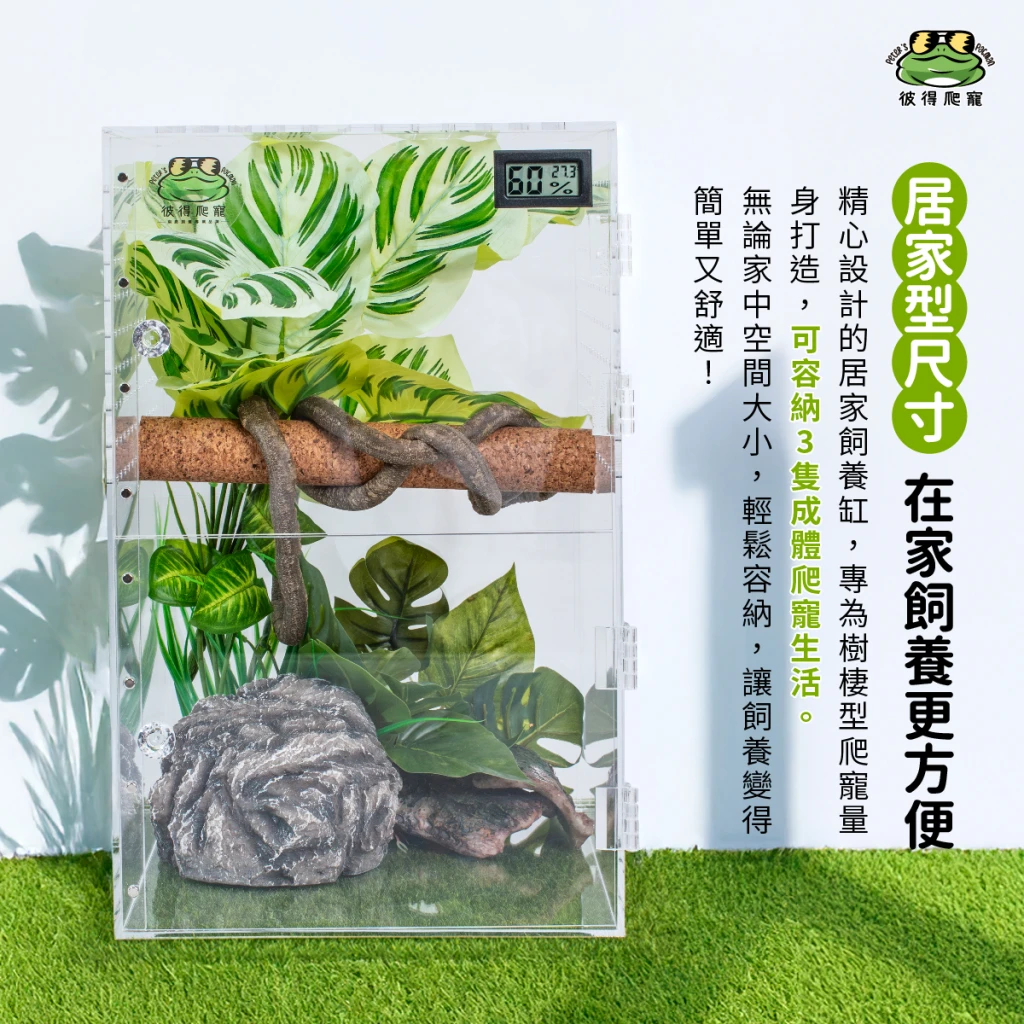 樹棲直立缸 (樹棲型爬寵專用)