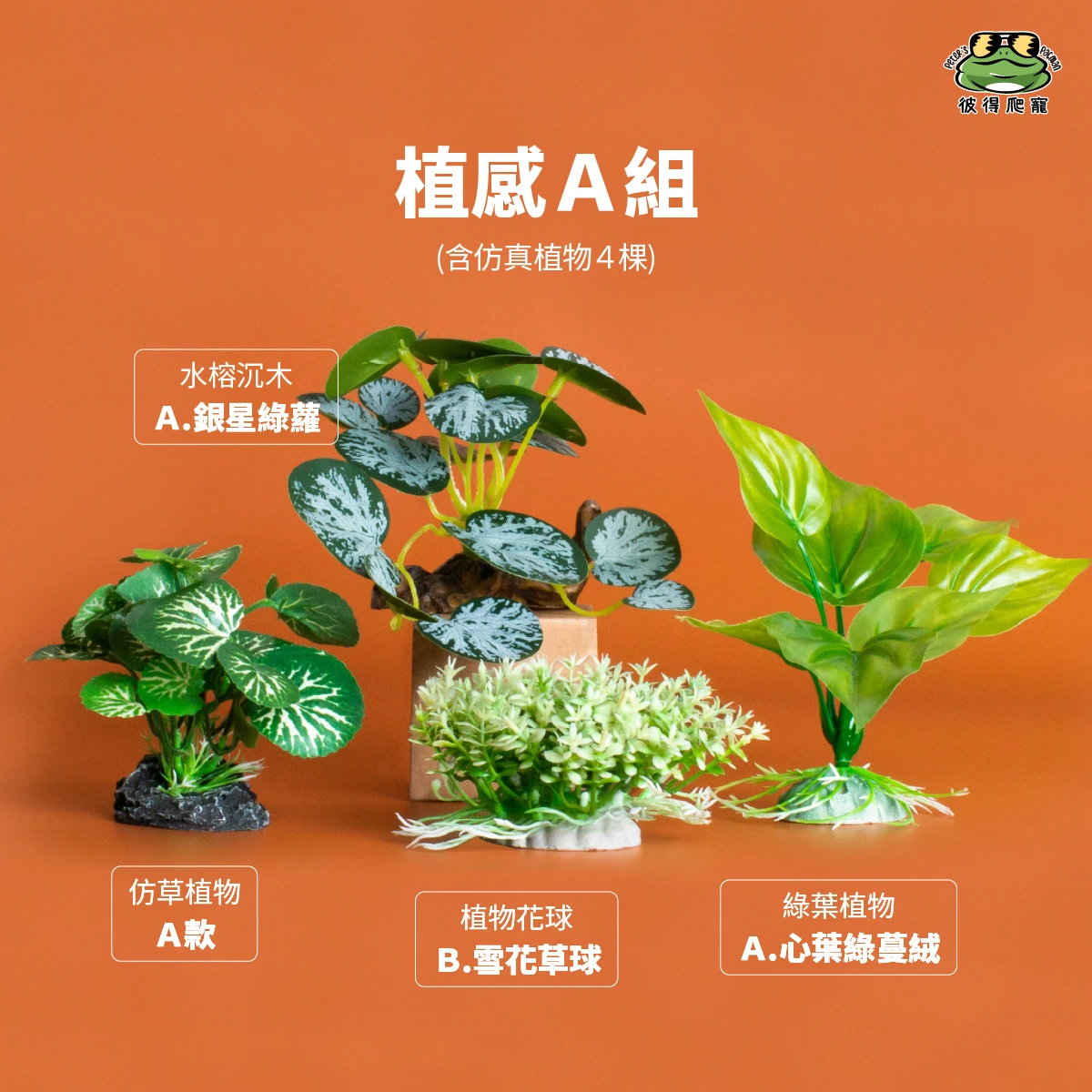 仿真植感組