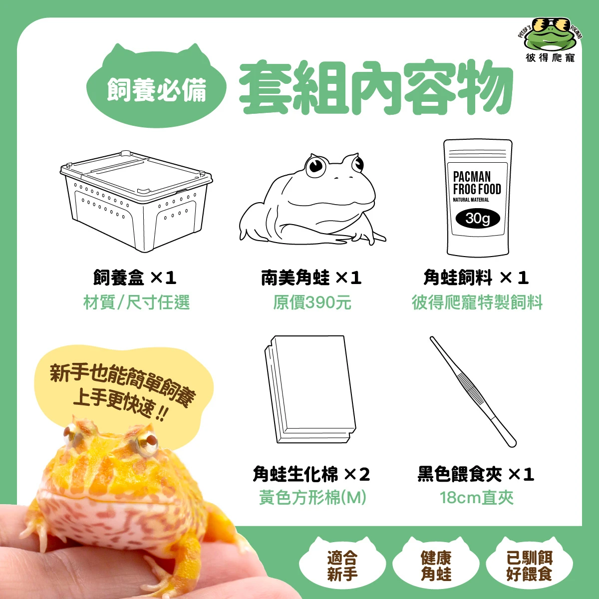 【挑蛙】新手角蛙套組