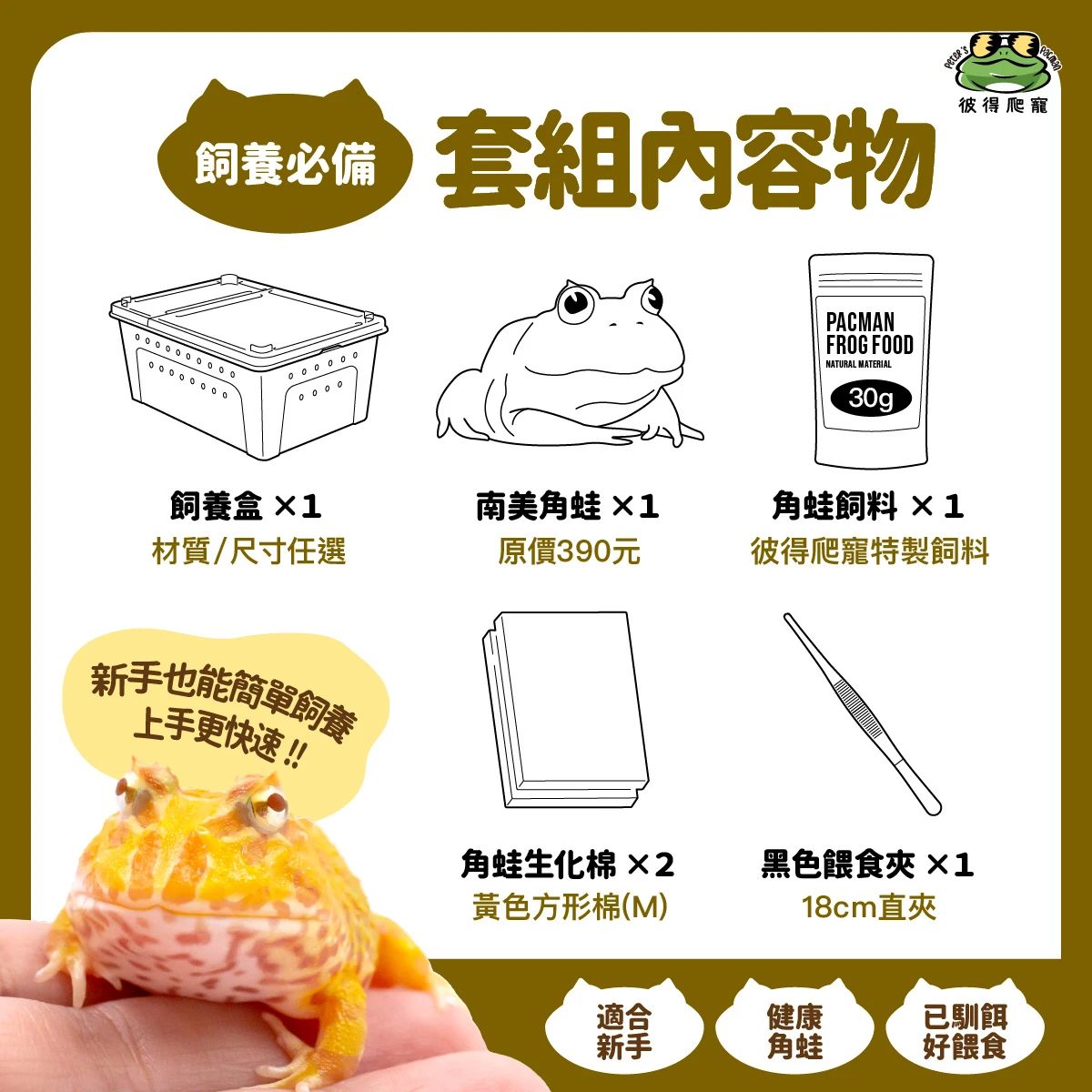 【不挑蛙】新手角蛙套組 (含角蛙一隻)