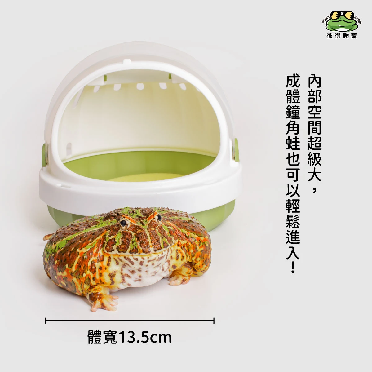 小寵外出籠(共兩色)