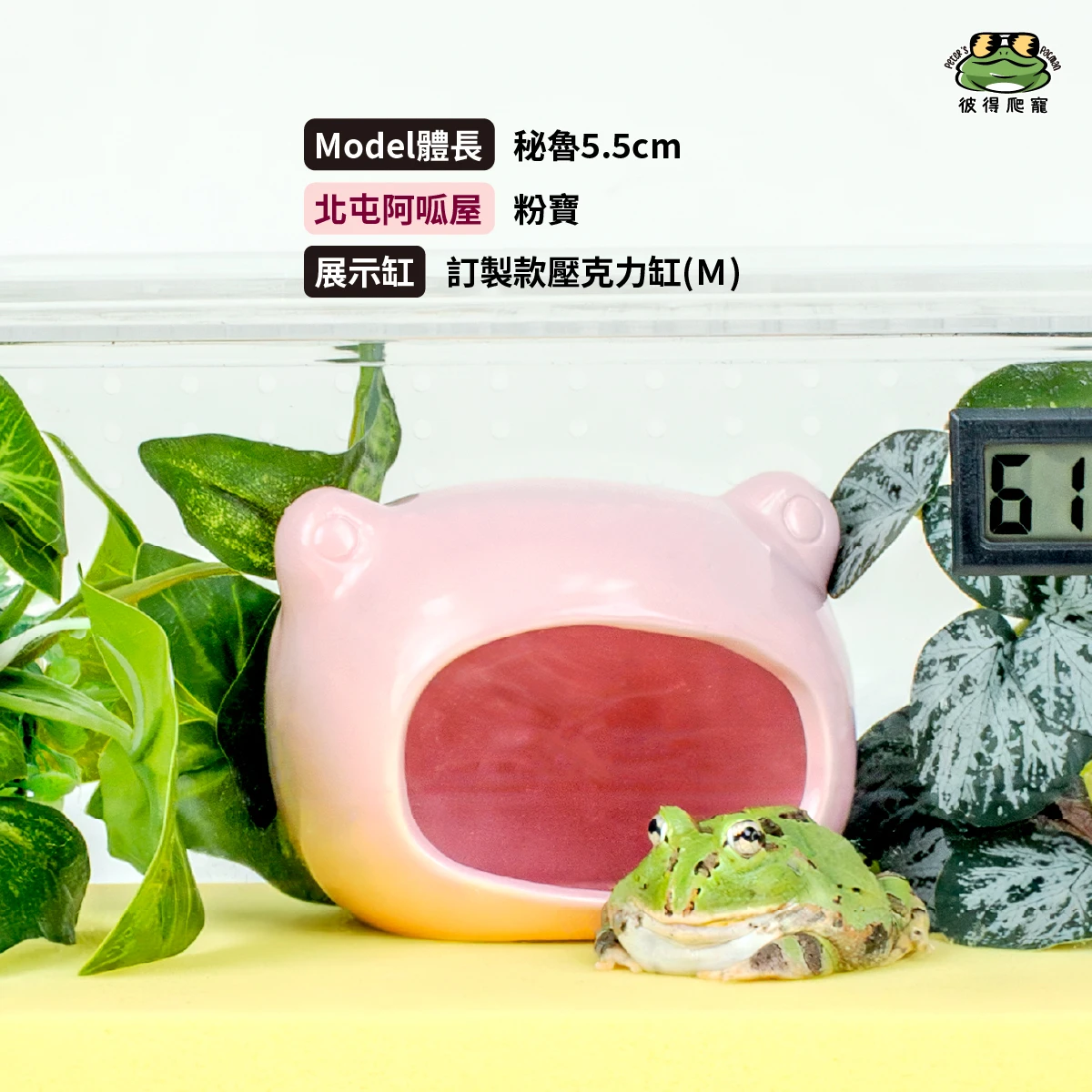 擺設造景】北屯阿呱屋(共兩色) 躲避洞水盆｜角蛙守宮爬蟲用|彼得爬寵