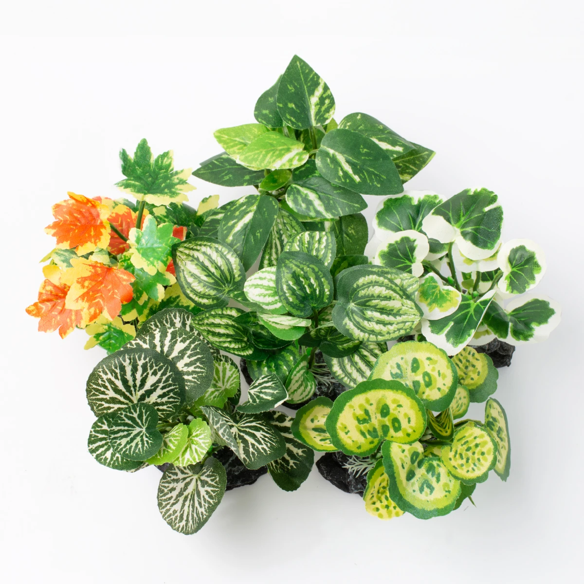 仿草植物造景 (共六款)