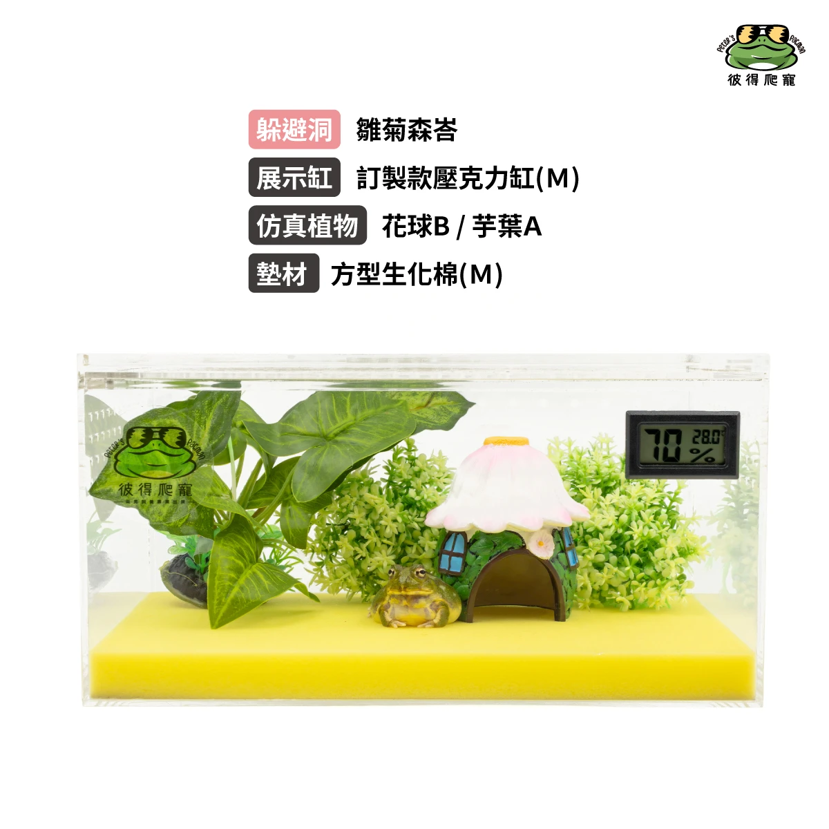 雛菊森峇