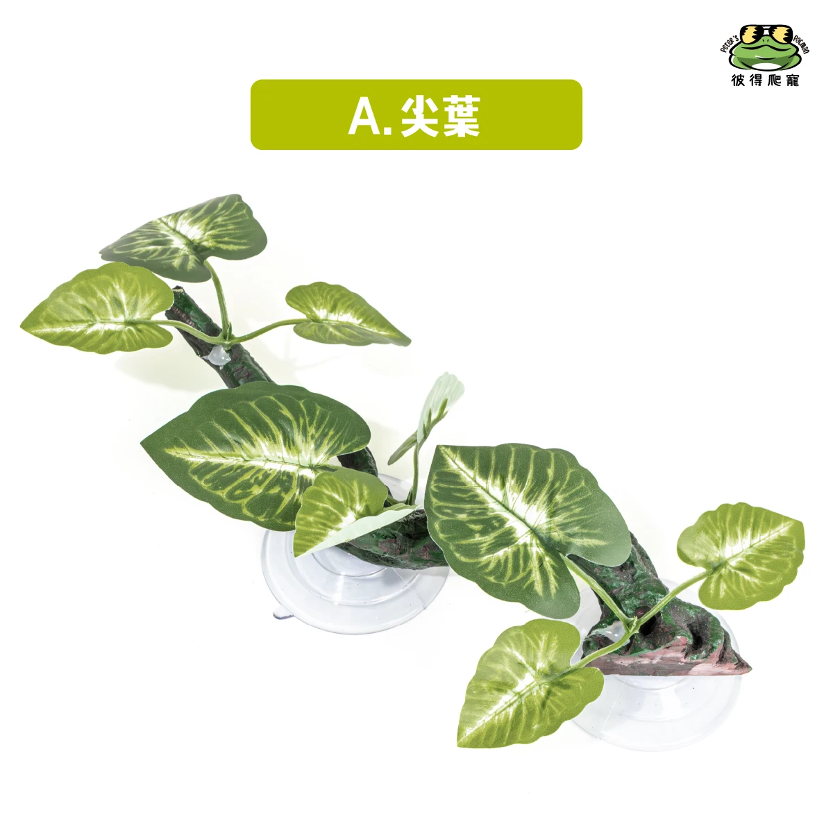 吸盤式造景棲枝(共三款)