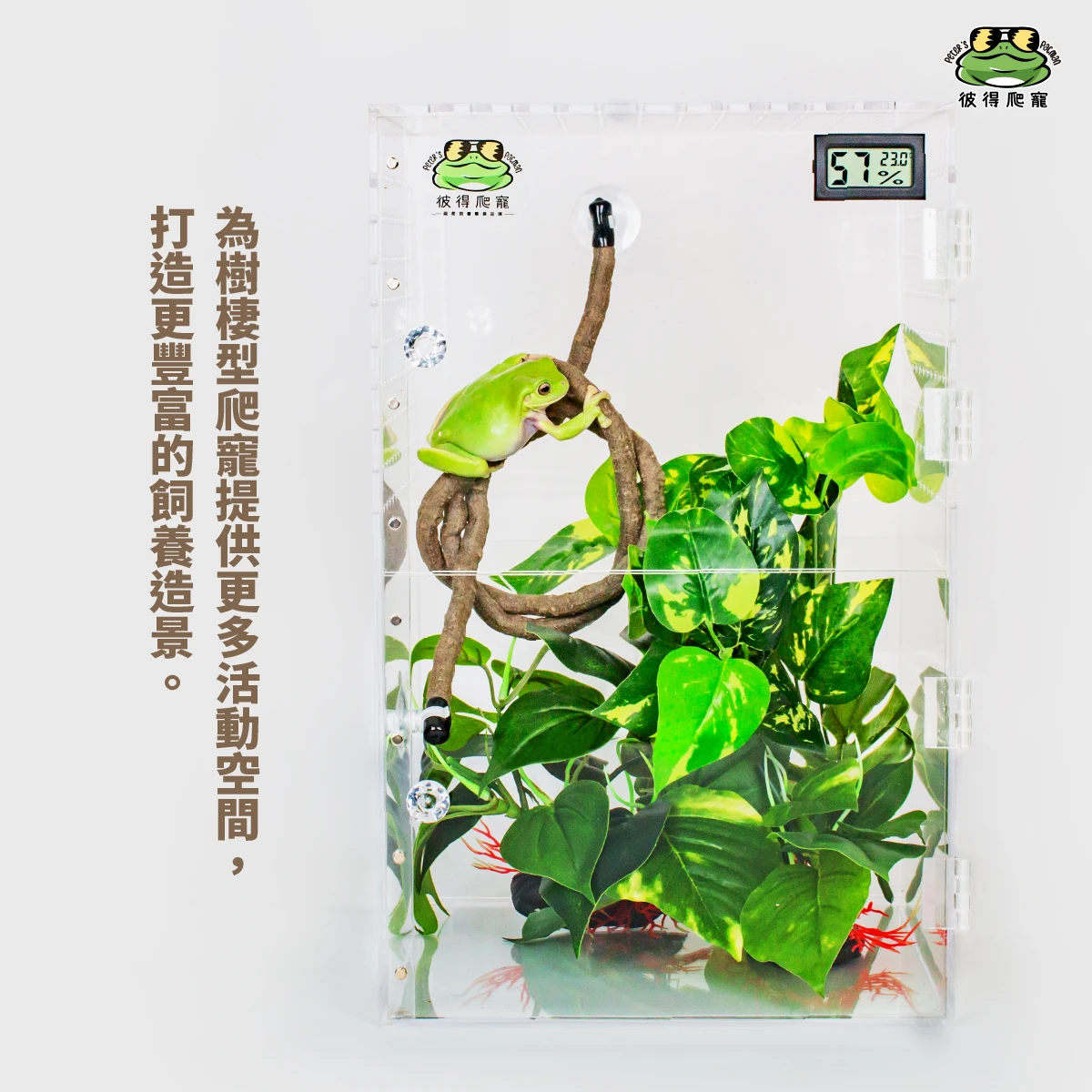 仿真攀爬藤蔓(共兩款)