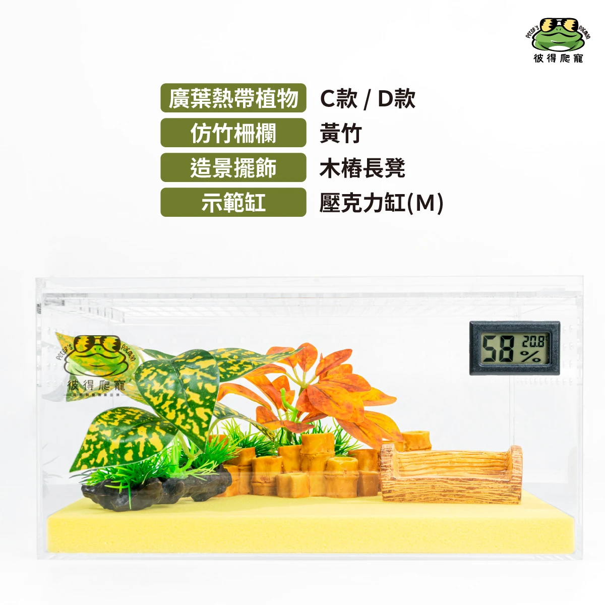 廣葉熱帶植物 (共四款)