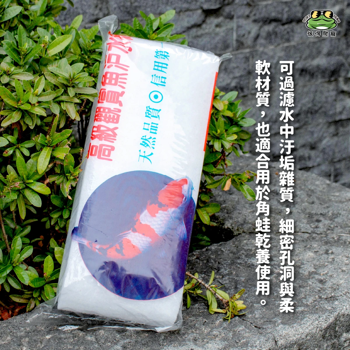 A級濾水棉 過濾白棉 (角蛙乾養專用棉)