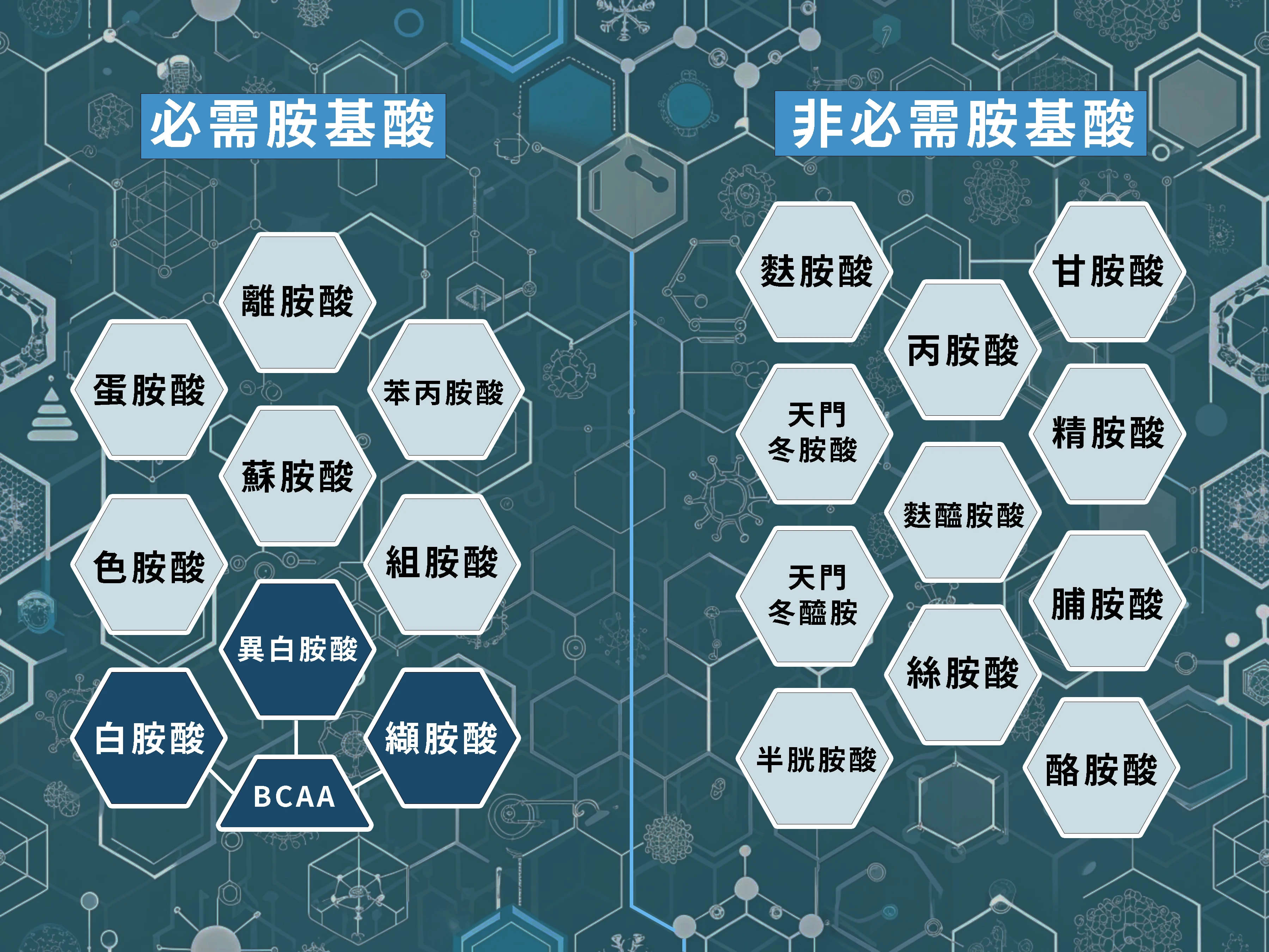 胺基酸種類