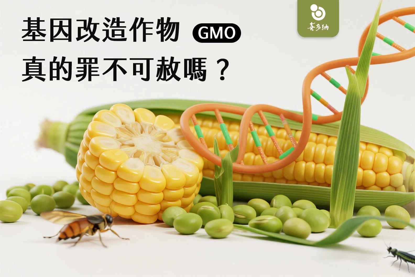 基因改造作物