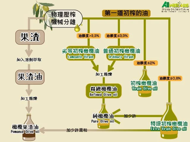橄欖油怎麼分？從果渣到特級初榨一次看懂