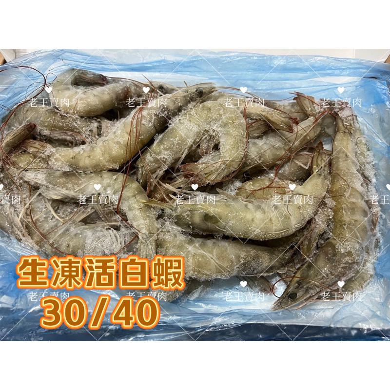 [老王賣肉]急凍白蝦/30/40/蝦子/海鮮/新鮮/便宜/冷凍海鮮